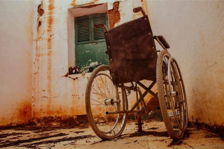 Disability Inclusion