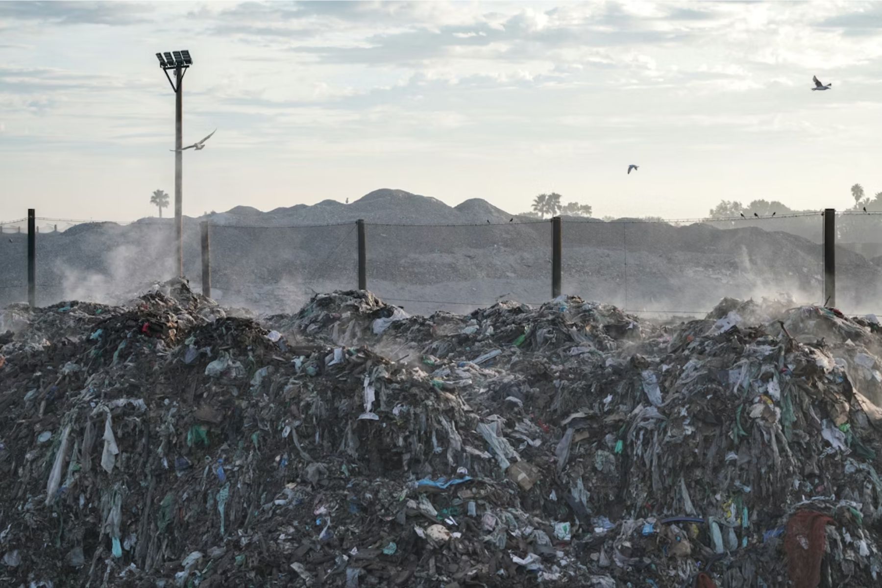 Climate Change & Environmental Sustainability